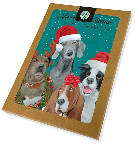 Boxed Dog Pals Christmas Cards