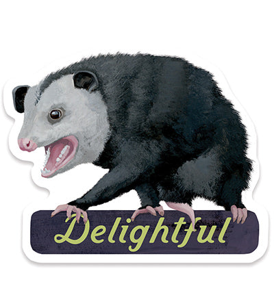 delightful Opossum