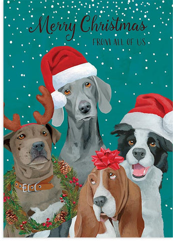 Dog Pals Christmas